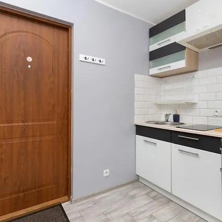 Apartment Dworska Close To The By Renters *
