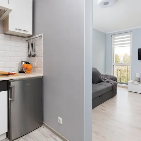 Dworska Close To The By Renters