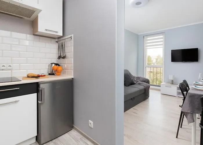 Dworska Close To The By Renters