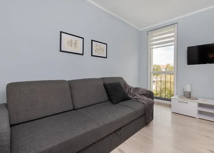 Dworska Close To The By Renters Apartment *